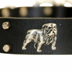 Bulldog's Day - Leather Collar -Collars Sales Shop DTBD305 4