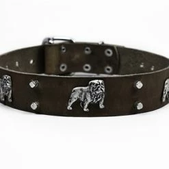Bulldog's Day - Leather Collar -Collars Sales Shop DTBD305 7