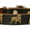 Bulldog Junior - Leather Collar -Collars Sales Shop DTBJ305 2