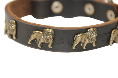 Bulldog Junior - Leather Collar 4 Bulldog Junior - Leather Collar - Image 2