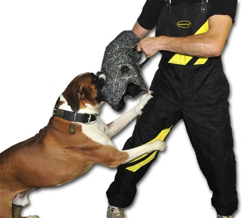 Dog Training Scratch Pants 4 Dog Training Scratch Pants - Image 2