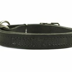 Strictly Business - Leather Collar -Collars Sales Shop DTC1 5