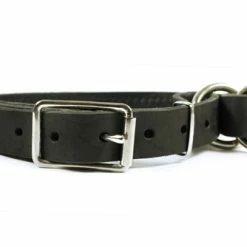 Strictly Business - Leather Collar -Collars Sales Shop DTC1 6