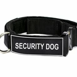 DT Cobra-Patch Collar