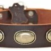 Retro Rulz - Leather Collar