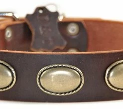 Retro Rulz - Leather Collar