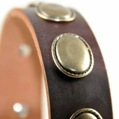 Retro Rulz - Leather Collar -Collars Sales Shop DTC103 4