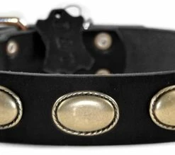 Retro Rulz - Leather Collar -Collars Sales Shop DTC103 5