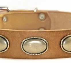 Retro Rulz - Leather Collar -Collars Sales Shop DTC103 6
