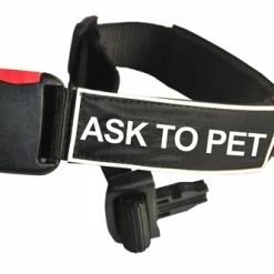 DT Patch Collar -Collars Sales Shop DTC10plus 4