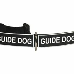 DT Patch Collar -Collars Sales Shop DTC10plus 5