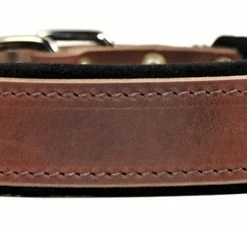 D&T Delight - Padded Leather Collar