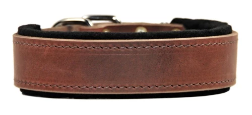 D&T Delight - Padded Leather Collar 3 D&T Delight - Padded Leather Collar