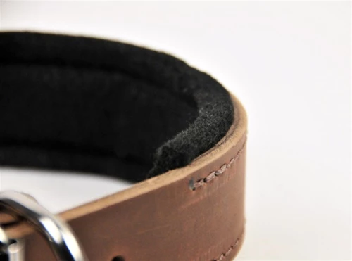 D&T Delight - Padded Leather Collar 4 D&T Delight - Padded Leather Collar - Image 2