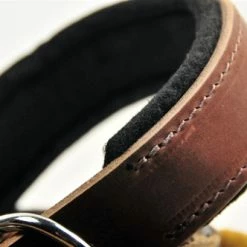 D&T Delight - Padded Leather Collar 10 D&T Delight - Padded Leather Collar -Collars Sales Shop DTC24 4