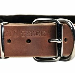 D&T Delight - Padded Leather Collar 11 D&T Delight - Padded Leather Collar -Collars Sales Shop DTC24 5