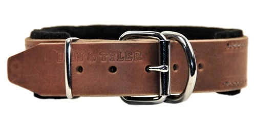 D&T Delight - Padded Leather Collar 6 D&T Delight - Padded Leather Collar - Image 4