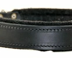 D&T Delight - Padded Leather Collar 12 D&T Delight - Padded Leather Collar -Collars Sales Shop DTC24 6