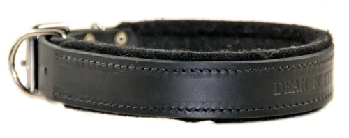 D&T Delight - Padded Leather Collar 7 D&T Delight - Padded Leather Collar - Image 5