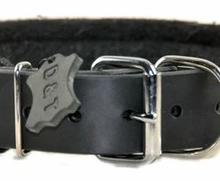 D&T Delight - Padded Leather Collar 13 D&T Delight - Padded Leather Collar -Collars Sales Shop DTC24 7