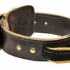 Simplicity+ Leather Collar With Handle -Collars Sales Shop DTC33 2