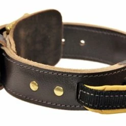 Simplicity+ Leather Collar With Handle
