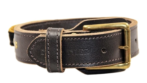 Simplicity+ Leather Collar With Handle 4 Simplicity+ Leather Collar With Handle - Image 2