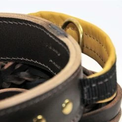 Simplicity+ Leather Collar With Handle 10 Simplicity+ Leather Collar With Handle -Collars Sales Shop DTC33 4