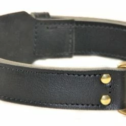 Simplicity - Leather Collar
