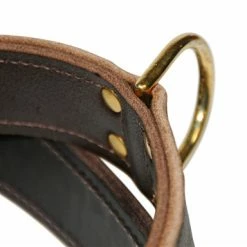 Simplicity - Leather Collar -Collars Sales Shop DTC33NH 7
