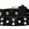 Egyptian Gem - Studded Collar