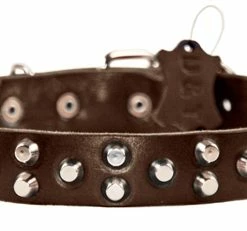 Egyptian Gem - Studded Collar -Collars Sales Shop DTC37 6