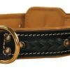Dean's Legend Black - Leather Collar -Collars Sales Shop DTC43 2