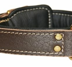 Italian Tailor - Leather Collar -Collars Sales Shop DTC443BLK 5