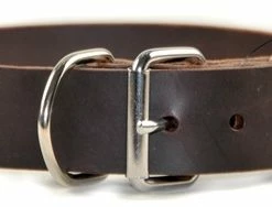 Silver Tag - Leather Collar