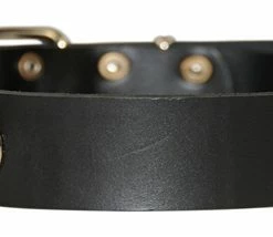 Silver Tag - Leather Collar -Collars Sales Shop DTC456 4