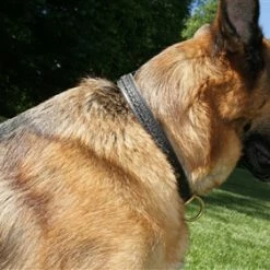 Classy Keir - Leather Choke Collar 12 Classy Keir - Leather Choke Collar -Collars Sales Shop DTC45braidedChoke 6