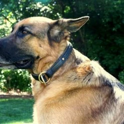 Classy Keir - Leather Choke Collar 13 Classy Keir - Leather Choke Collar -Collars Sales Shop DTC45braidedChoke 7