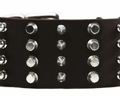 D&T 4 Row Spikes - Spiked Collar