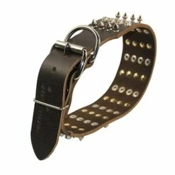 D&T 4 Row Spikes - Spiked Collar -Collars Sales Shop DTC4Combo 4