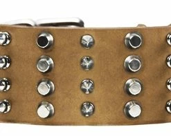D&T 4 Row Spikes - Spiked Collar -Collars Sales Shop DTC4Combo 6