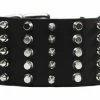 Wide Stud - Studded Collar -Collars Sales Shop DTC5Combo 2