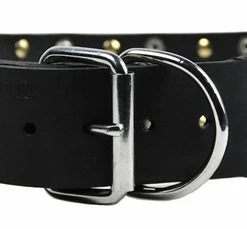 Wide Stud - Studded Collar -Collars Sales Shop DTC5Combo 4