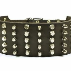 Wide Stud - Studded Collar -Collars Sales Shop DTC5Combo 5