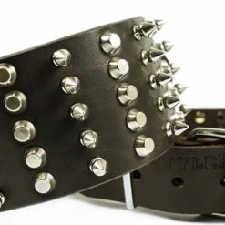 Wide Stud - Studded Collar -Collars Sales Shop DTC5Combo 6