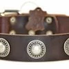 Simple Treasure - Leather Collar 1 Simple Treasure - Leather Collar -Collars Sales Shop DTC73 2