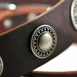 Simple Treasure - Leather Collar -Collars Sales Shop DTC73 4