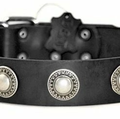 Simple Treasure - Leather Collar -Collars Sales Shop DTC73 5