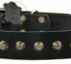 Simply Stunning - Leather Collar