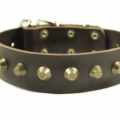 Simply Stunning - Leather Collar -Collars Sales Shop DTC74 5